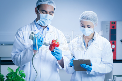 Food scientist using device on pepper