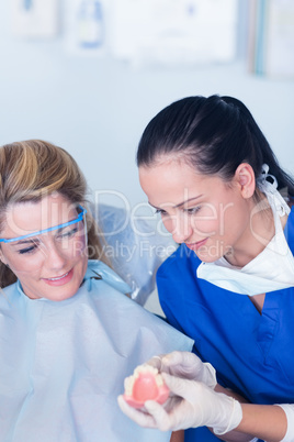 Dentist showing patient model of teeth