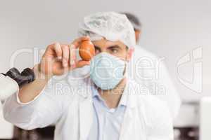 Food scientist looking at an egg