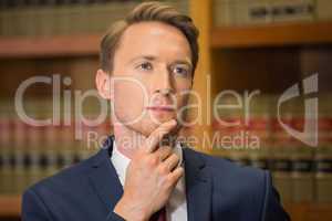 Handsome lawyer in the law library