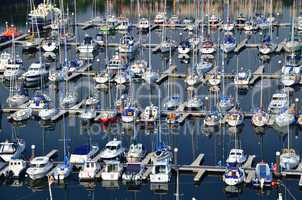 viele boote im hafen