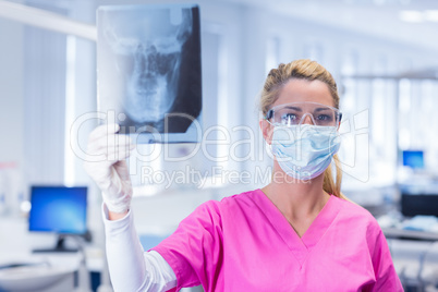 Dentist holding an x-ray and looking at camera