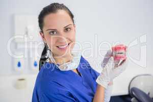 Smiling dentist showing a model