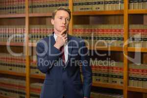 Handsome lawyer in the law library