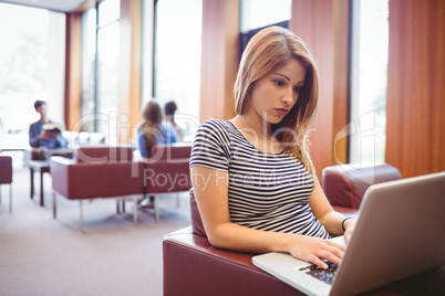 Focused young student sitting on couch using laptop