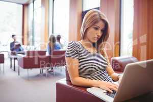 Focused young student sitting on couch using laptop