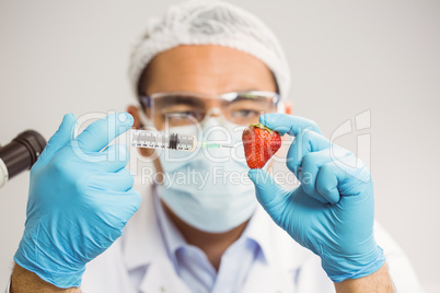 Food scientist injecting a strawberry