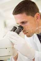 Young scientist working with microscope