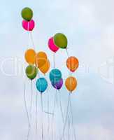 Colourful balloons flying in the sky