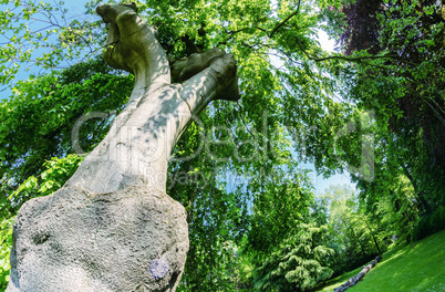 Giant tree on a beautiful park