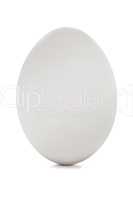 White egg on white background