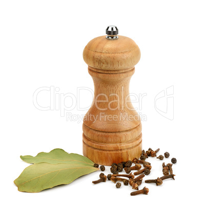 grinder and spices isolated on white background