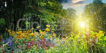 summer park with a beautiful flower bed