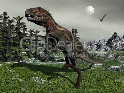 Nanotyrannus dinosaur - 3D render