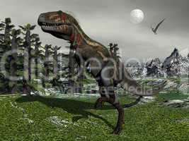 Nanotyrannus dinosaur - 3D render