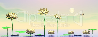 Zen lily flowers - 3D render