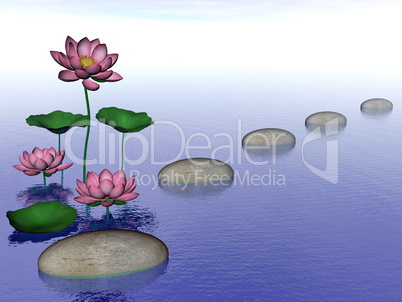 Zen lily flowers - 3D render