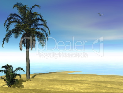 Tropical scenery - 3D render