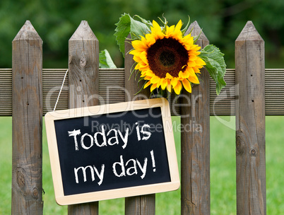 Today is my day !