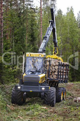 Holzernte Holzabbau