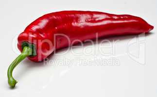 Chilli