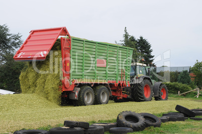 Maisernte für Biogas