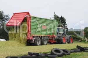 Maisernte für Biogas