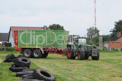 Maisernte für Biogas