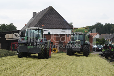 Maisernte für Biogas