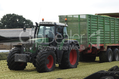 Maisernte für Biogas