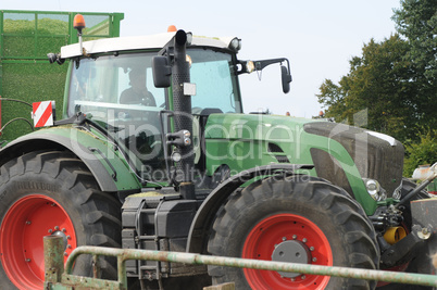 Maisernte für Biogas