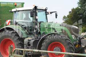 Maisernte für Biogas