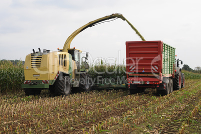 Maisernte für Biogas