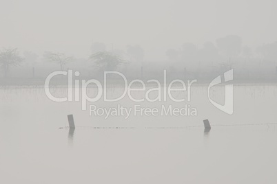 Flooded fields with fence posts