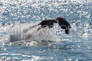 Flyboarder diving forwards headfirst into backlit sea