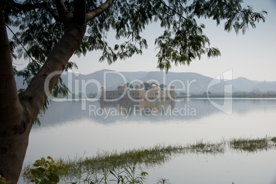 Jal Mahal lake palace through the trees
