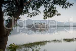 Jal Mahal lake palace through the trees
