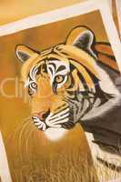 Painting of tiger's head