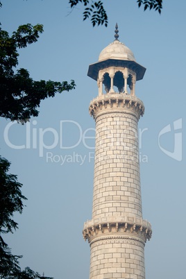 Taj Mahal minaret through trees