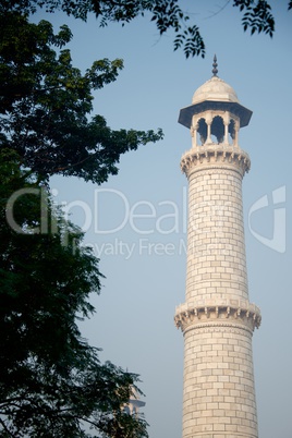 Taj Mahal minarets through trees