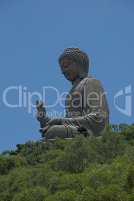 Three-quarter view of Big Buddha among trees