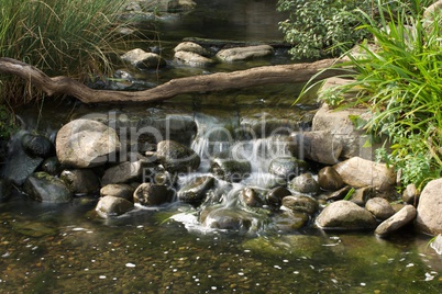 Waterfall in rocky stream crossed by log