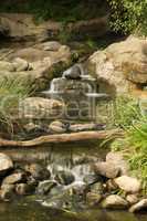 Waterfalls in rocky stream spanned by log