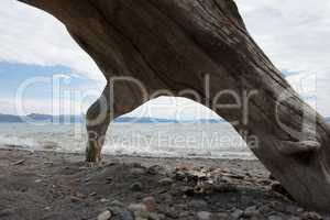 Yellowstone Lake driftwood