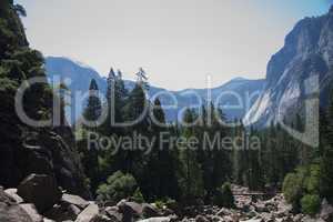 Yosemite panorama