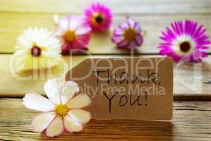 Sunny Label With Text Thank You With Cosmea Blossoms