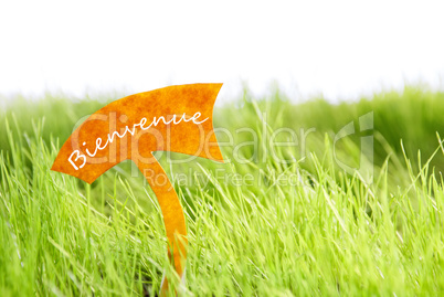 Label With French Bienvenue Which Means Welcome On Green Grass