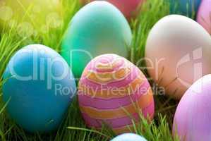 Sunny Easter Eggs Which Are Colorful and Many On Green Grass