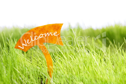Label With Welcome On Green Grass