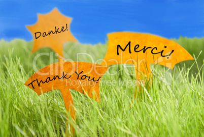 Three Labels With Thank You In Different Languages And Blue Sky